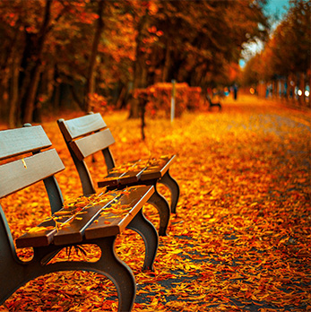 免费cc攻击测试